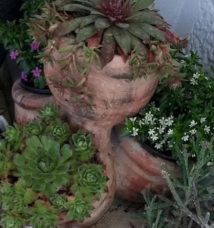 I Sobe Mara Affittacamere Palit