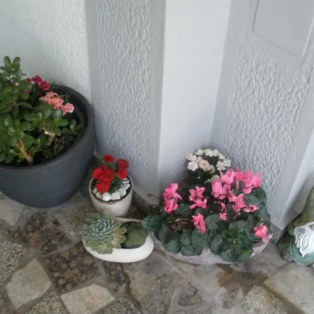 Guest house I Sobe Mara 3*