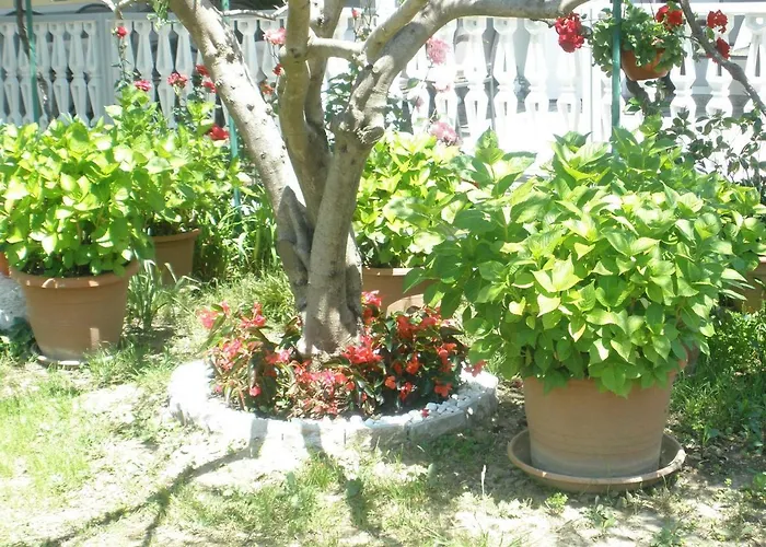 Pensionat I Sobe Mara Palit