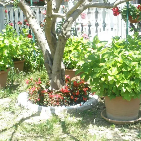 Casa de hóspedes I Sobe Mara Palit