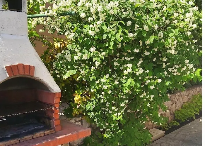 Pensjonat I Sobe Mara Palit